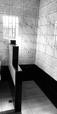 Develop Mind Construction Services (28)